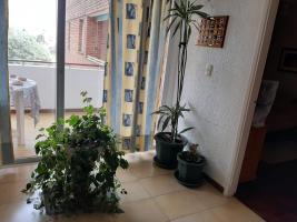 Apartamento en Punta del Este (Aidy Grill) Ref. 598