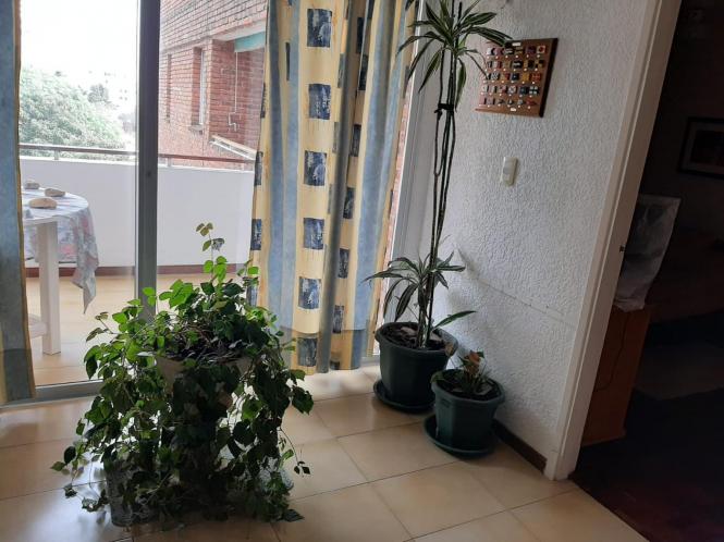 Apartamento en Punta del Este (Aidy Grill) Ref. 598