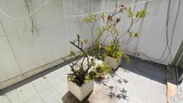 Apartamento en Punta del Este (Península) - Ref. 4339