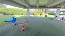 Apartamento en Punta del Este (Playa Mansa) 6826