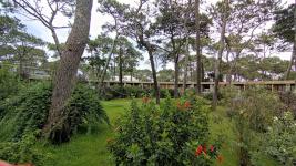 Apartamento en Punta del Este (Playa Mansa) Ref. 4781