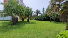 Apartamento en Punta del Este (Playa Mansa) Ref. 7022