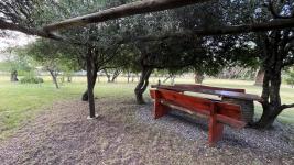 Atención emprendedores! Fábrica de ladrillo con chacra y Casa