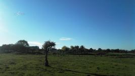 Campo en San Carlos Ref.2897