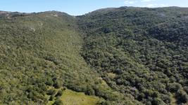 Campos y Fracciones en Lavalleja (Aguas Blancas) Ref. 5470