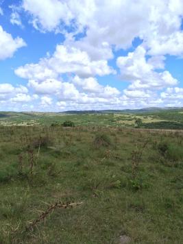 Campos y Fracciones en Otras (Pueblo Garzón)