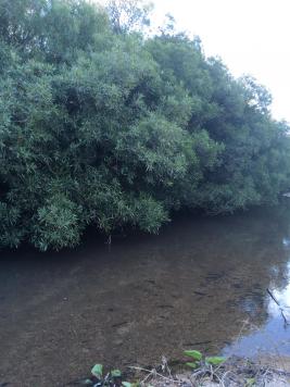 Campos y Fracciones en Otras (Pueblo Garzón)