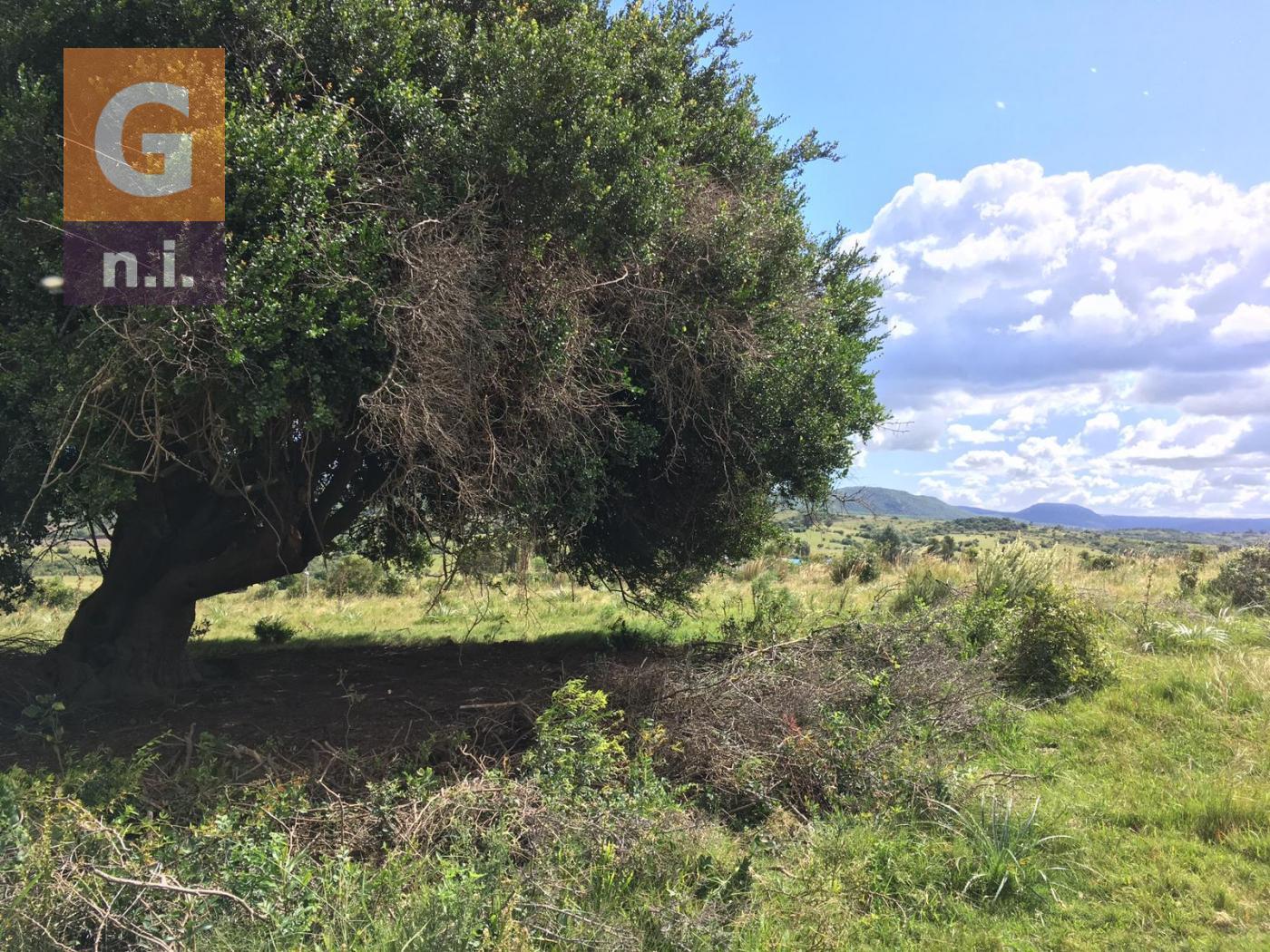 Campos y Fracciones en Otras (Pueblo Garzón)