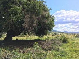 Campos y Fracciones en Otras (Pueblo Garzón)