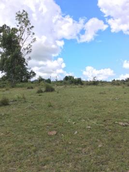 Campos y Fracciones en Otras (Pueblo Garzón)