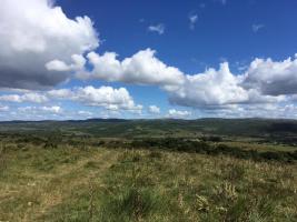 Campos y Fracciones en Otras (Pueblo Garzón)