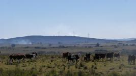 Campos y Fracciones en Otras Rurales (Ruta 39) Ref. 5483