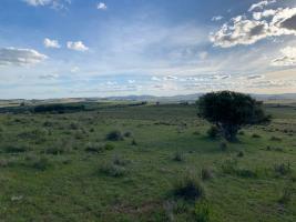 Campos y Fracciones en Otras Rurales (Ruta 39) Ref. 5483