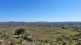 Campos y Fracciones en Otras Rurales (Ruta 39) Ref. 5483