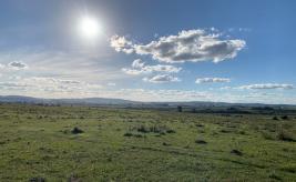 Campos y Fracciones en Otras Rurales (Ruta 39) Ref. 5483