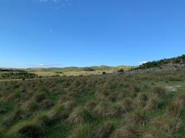 Campos y Fracciones en Otras Rurales (Ruta 39) Ref. 5483