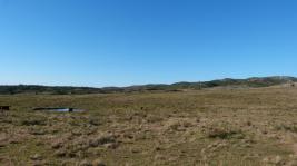 Campos y Fracciones en Otras Rurales (Ruta 39) Ref. 5483