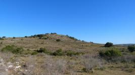 Campos y Fracciones en Otras Rurales (Ruta 39) Ref. 5483