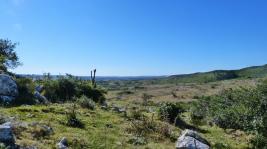 Campos y Fracciones en Otras Rurales (Ruta 39) Ref. 5483