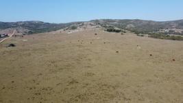 Campos y Fracciones en Otras Rurales (Ruta 39) Ref. 5483