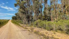 Campos y Fracciones en Otras Rurales (Ruta 39) Ref.7096