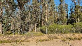 Campos y Fracciones en Otras Rurales (Ruta 39) Ref.7096