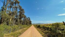 Campos y Fracciones en Otras Rurales (Ruta 39) Ref.7096