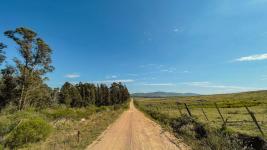 Campos y Fracciones en Otras Rurales (Ruta 39) Ref.7096
