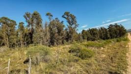 Campos y Fracciones en Otras Rurales (Ruta 39) Ref.7096