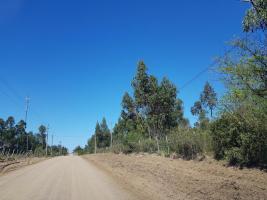 Campos y Fracciones en Pan de Azúcar (Pan de Azúcar Ciudad) Ref.3722