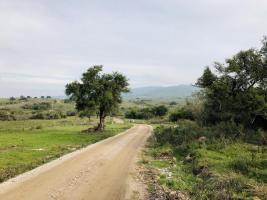 Campos y Fracciones en Pan de Azúcar (Ruta 60)