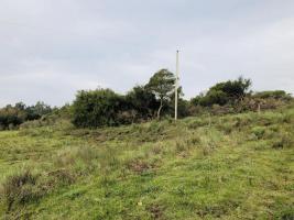 Campos y Fracciones en Pan de Azúcar (Ruta 60)