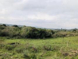 Campos y Fracciones en Pan de Azúcar (Ruta 60)