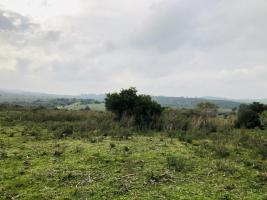 Campos y Fracciones en Pan de Azúcar (Ruta 60)