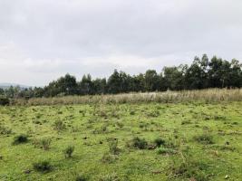 Campos y Fracciones en Pan de Azúcar (Ruta 60)