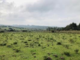 Campos y Fracciones en Pan de Azúcar (Ruta 60)