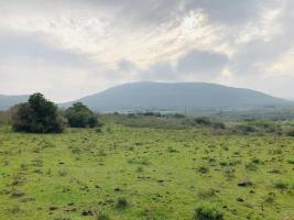 Campos y Fracciones en Pan de Azúcar (Ruta 60)