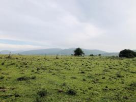 Campos y Fracciones en Pan de Azúcar (Ruta 60)