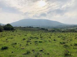 Campos y Fracciones en Pan de Azúcar (Ruta 60)