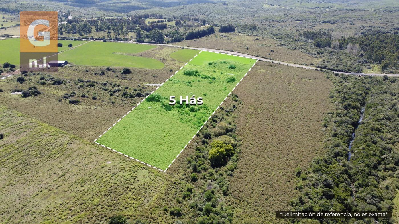 Campos y Fracciones en Pan de Azúcar (Ruta 60) Ref. 7002