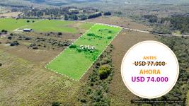 Campos y Fracciones en Pan de Azúcar (Ruta 60) Ref. 7002