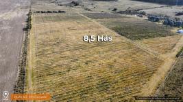 Campos y Fracciones en Pan de Azúcar (Ruta 60) Ref.2424