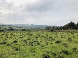 Campos y Fracciones en Pan de Azúcar (Ruta 60) Ref.4047
