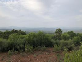 Campos y Fracciones en Pan de Azúcar (Ruta 60) Ref.4051