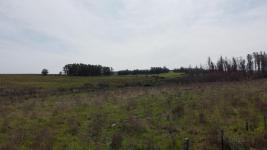 Campos y Fracciones en Pan de Azúcar (Ruta 9, Pan de Azúcar)