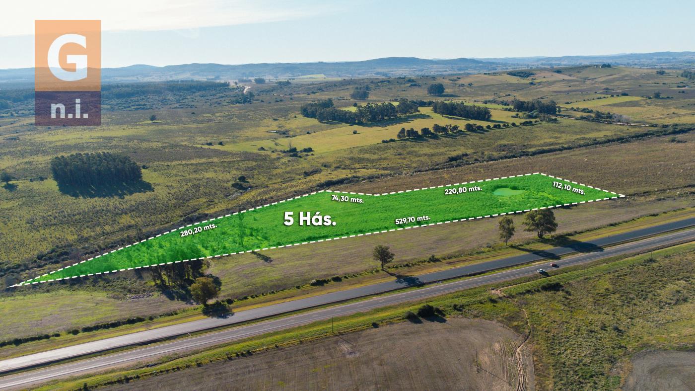 Campos y Fracciones en Pan de Azúcar (Ruta 9, Pan de Azúcar)