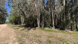 Campos y Fracciones en Piriápolis (Bella Vista) Ref. 5641