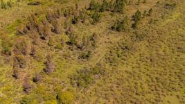 Campos y Fracciones en Piriápolis (Estación Las Flores) Ref. 6442