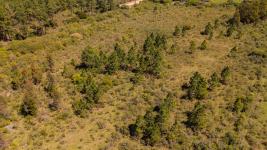 Campos y Fracciones en Piriápolis (Estación Las Flores) Ref. 6442