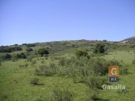 Campos y Fracciones en Piriápolis (Ruta 73 Piriápolis) Ref.169